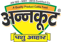 Annkoot Logo