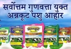 अन्नकूट पशु आहार: स्वस्थ पशु, खुशहाल किसान! 6 Annkoot Pashu Ahar