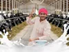 Annkoot Pashu Ahar | Cattle Feed Agency