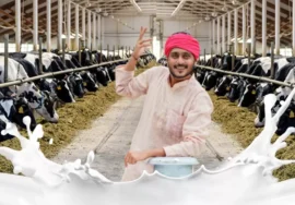 Annkoot Pashu Ahar | Cattle Feed Agency