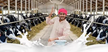 Annkoot Pashu Ahar | Cattle Feed Agency