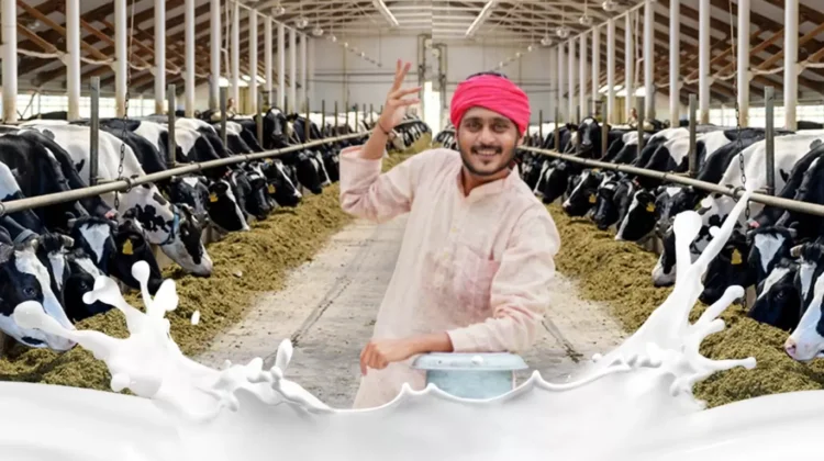 Annkoot Pashu Aahar - cattle Feed Agency Programme 1 Annkoot Pashu Ahar | Cattle Feed Agency