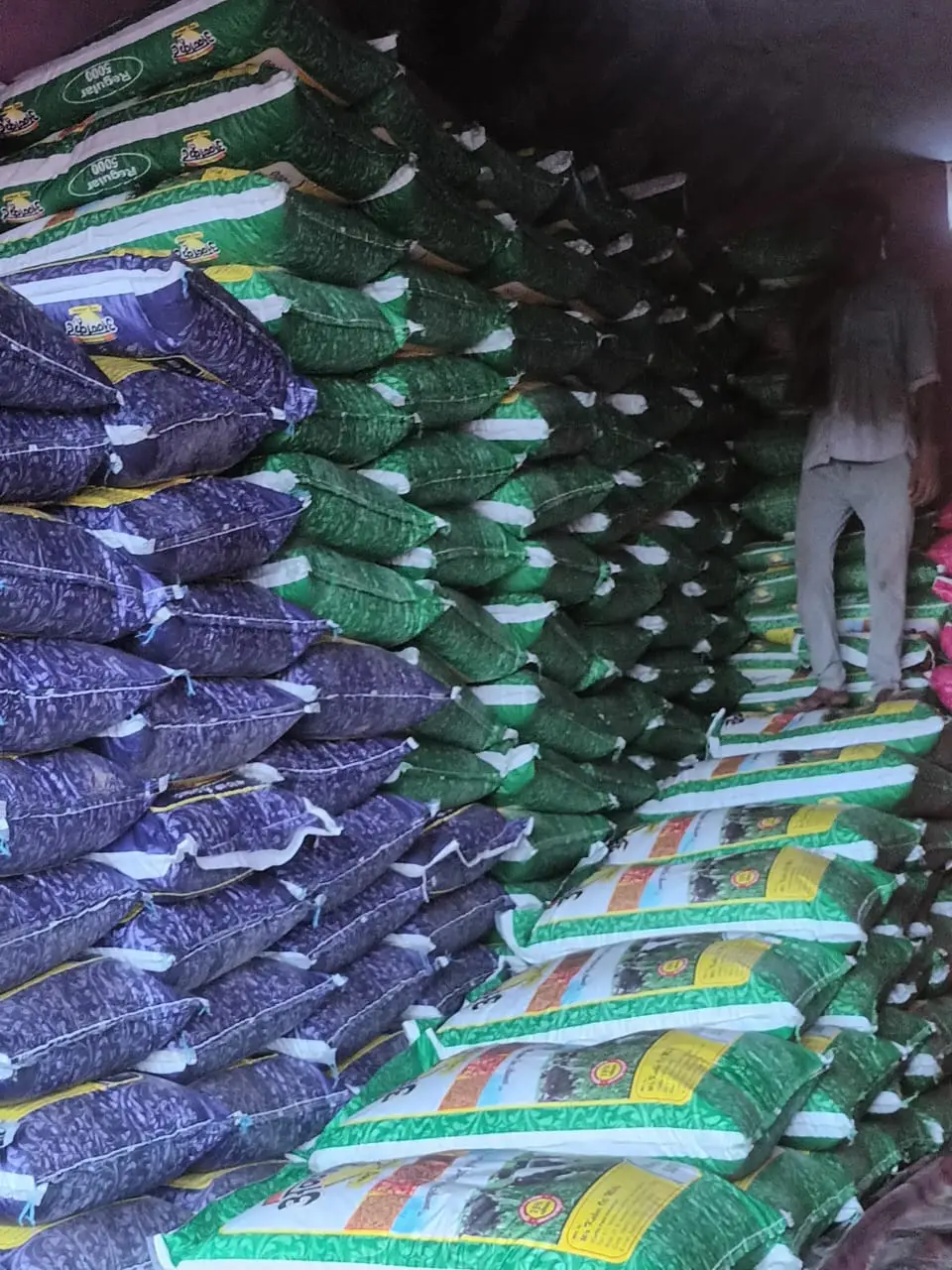 Cattle Feed Supplier