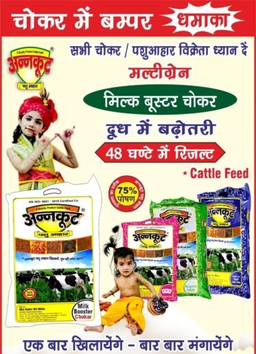 Top Selling Cattle Feed : Multi Grain Choker