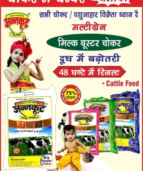 Top Selling Cattle Feed : Multi Grain Choker