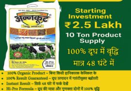 bulk cattle feed supplier