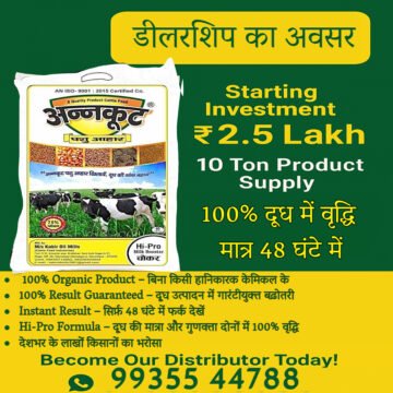 bulk cattle feed supplier