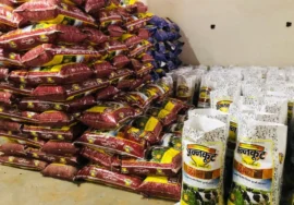 Annkoot cattle Feed Manufacturer