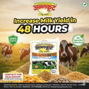 Gemini Generated Image xt4renxt4renxt4r