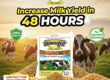 Gemini Generated Image xt4renxt4renxt4r