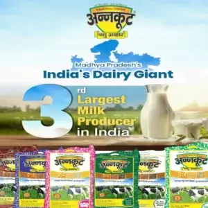 cattle feed manufacturer in Madhya Pradeesh MP