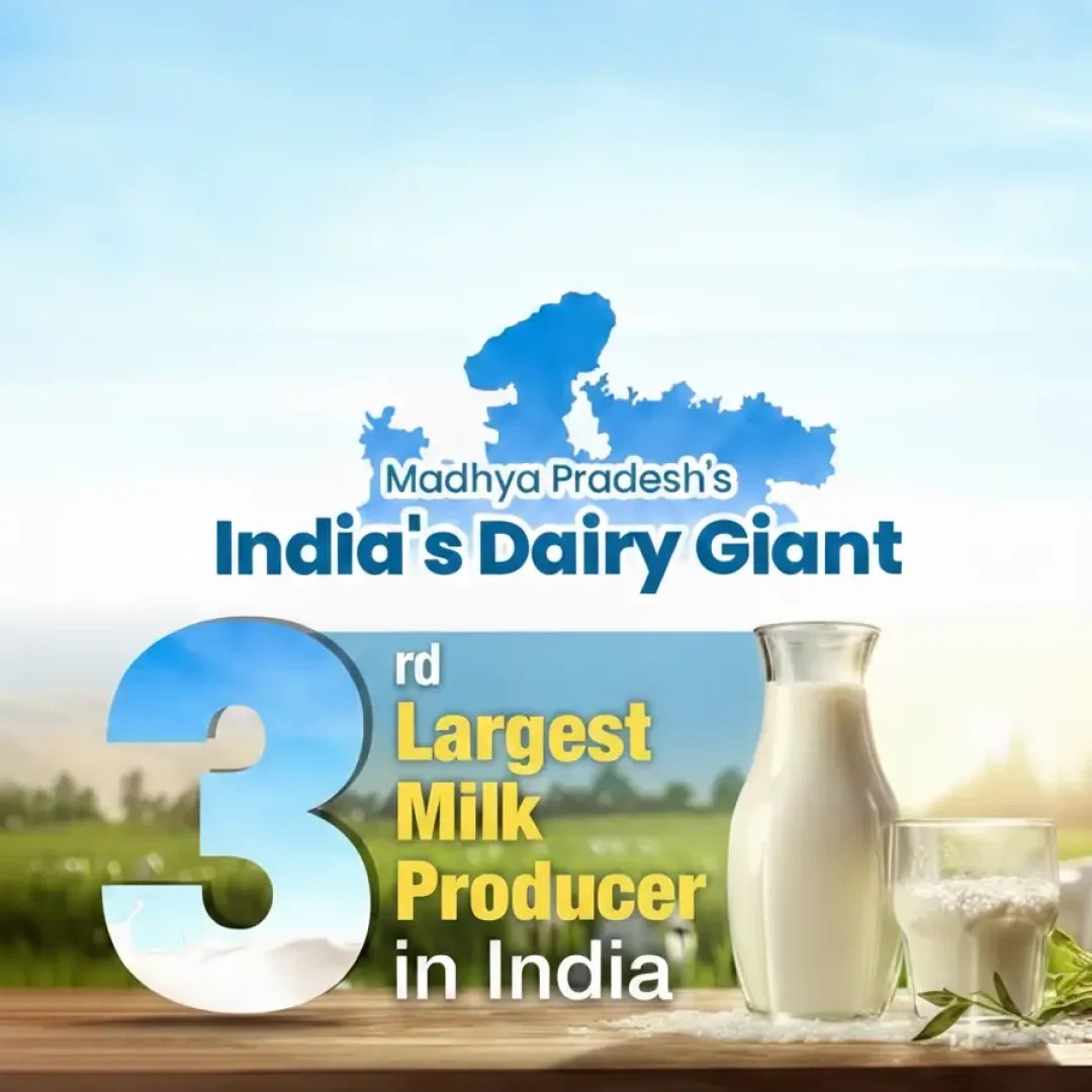 Gemini_Generated_Image_18jc7h18jc7h18jc