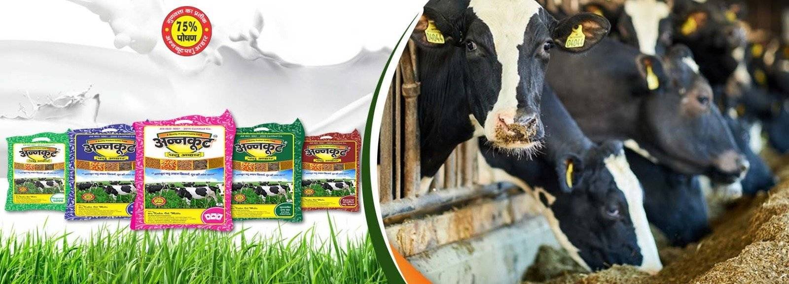 Annkoot Pashu Aahar - Cattle Feed Manufacturer 18 Annkoot Pashu Ahar