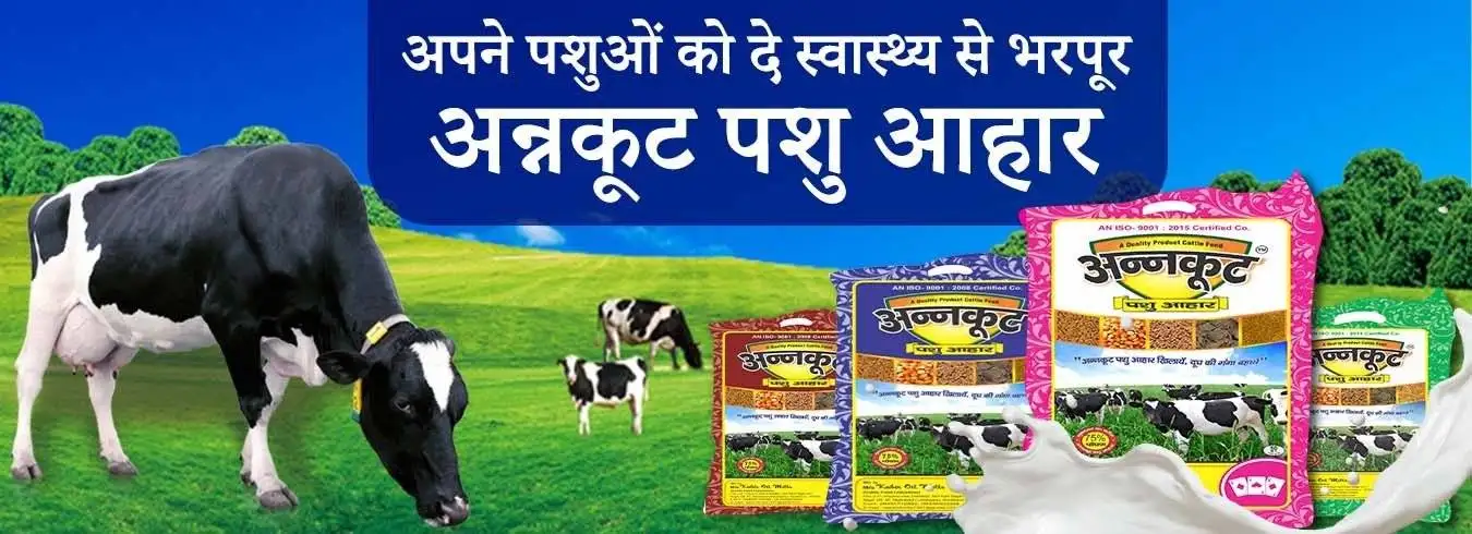 Annkoot Pashu Aahar - Cattle Feed Manufacturer 23 Annkoot Pashu Ahar